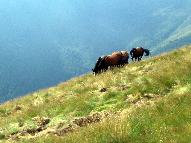 Cima Ometto - Testone tre Alpi